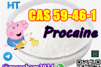 8615355326496 Big Sale Procaine CAS 59461 Samples available